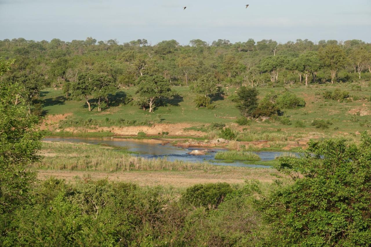 Willa Marloth Park Hippo House Zewnętrze zdjęcie